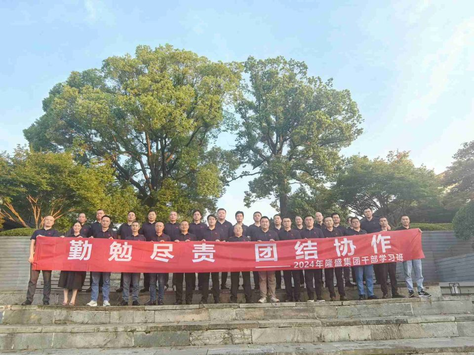 【勤勉盡責(zé)、團(tuán)結(jié)協(xié)作】隆盛科技召開(kāi)2024年集團(tuán)干部學(xué)習(xí)班暨戰(zhàn)略研討會(huì)議